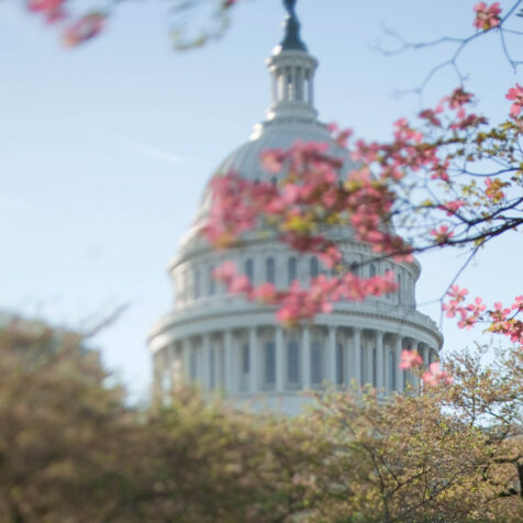 #RailDay2020 Social Media Guide