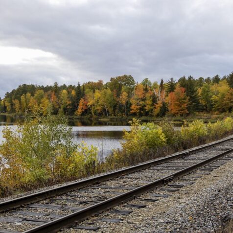 How Freight Rail Powers Your Thanksgiving Table